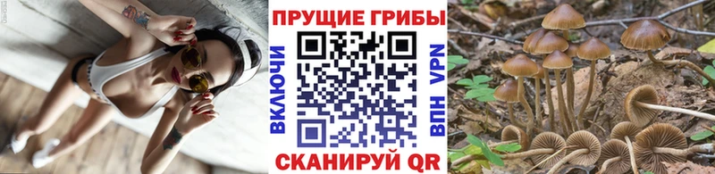 Псилоцибиновые грибы прущие грибы  МЕГА ССЫЛКА  нарко площадка состав  Белая Калитва 